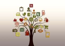 Dangerous Social Media Trends Among Teens - Tree