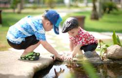 how to prevent and treat insect bites and stings