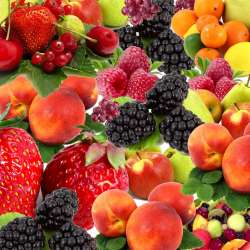 Create a food collage with your little one