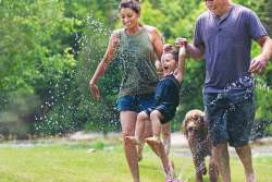 5 Backyard Renovations