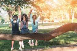 Summer Activities_Featured