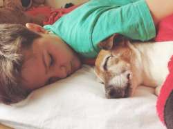 Tween Sleep Facts