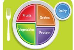 USDA My Plate Icon