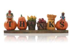 Thanksgiving Craft Thanks