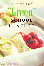 Green School Lunches Pinterest Graphic