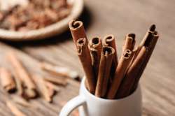 Cinnamon Stick Drawing Activity for Kids
