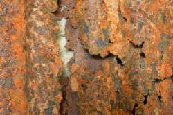 Rust Science Activity for Kids