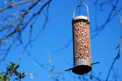 Tree Feeder Nature Activity for Kids
