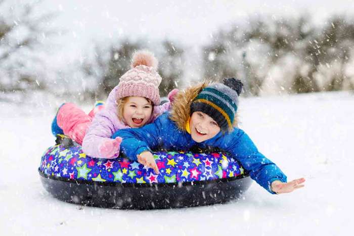 Best Sleds